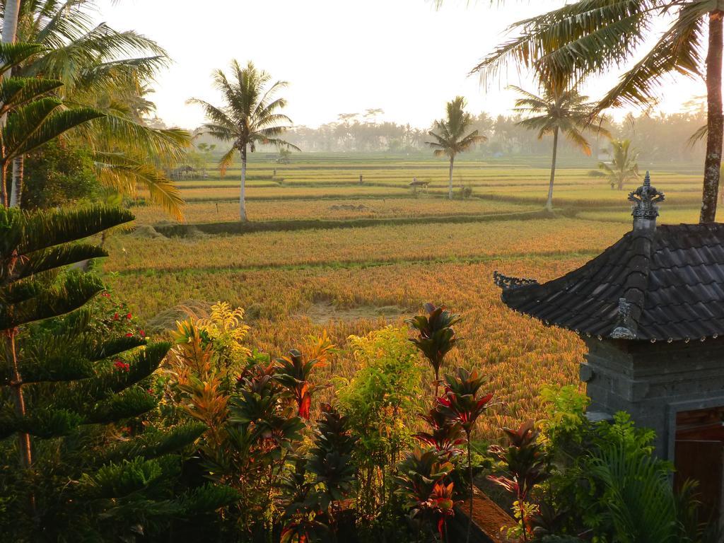 Villa Agung Khalia Убуд Екстериор снимка